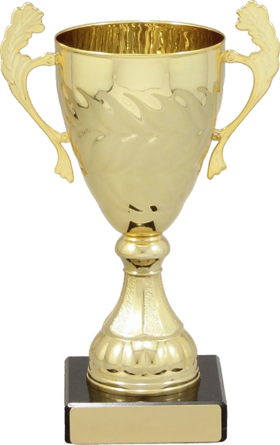 c9145_discount-cups-trophies.jpg