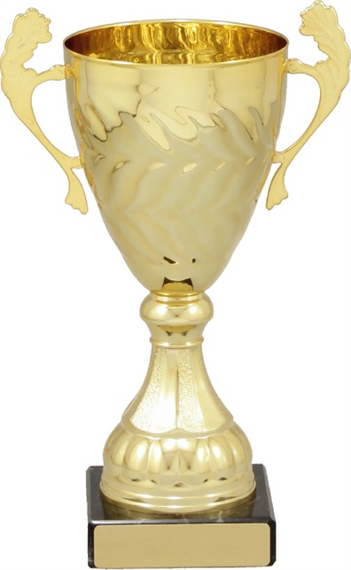 c9145_discount-cups-trophies.jpg