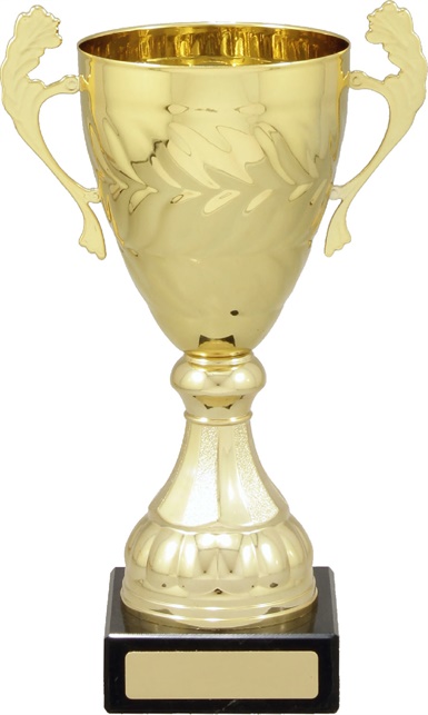 c9145_discount-cups-trophies.jpg