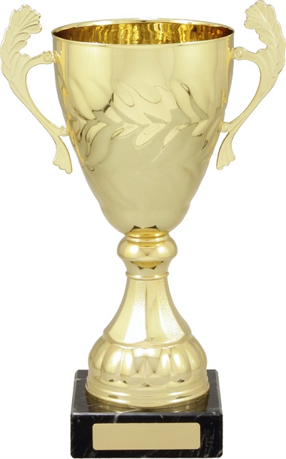 c9145_discount-cups-trophies.jpg