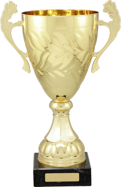 c9145_discount-cups-trophies.jpg