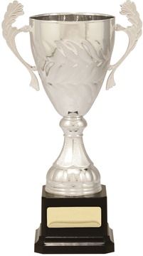 c9151_discount-cups-trophies.jpg