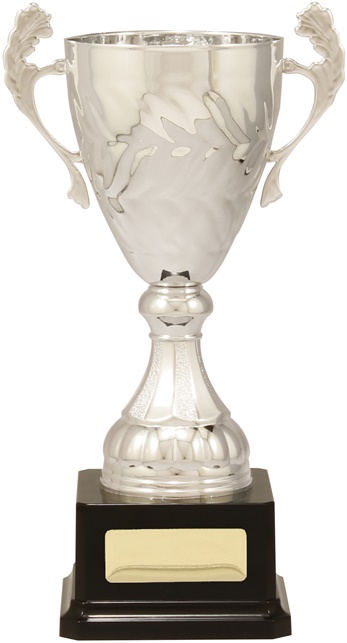 c9151_discount-cups-trophies.jpg