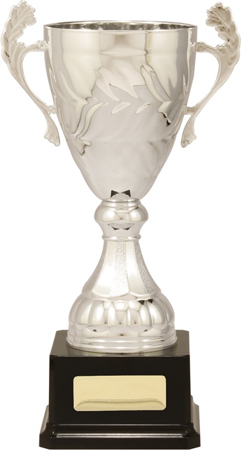 c9151_discount-cups-trophies.jpg