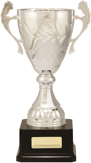 c9151_discount-cups-trophies.jpg