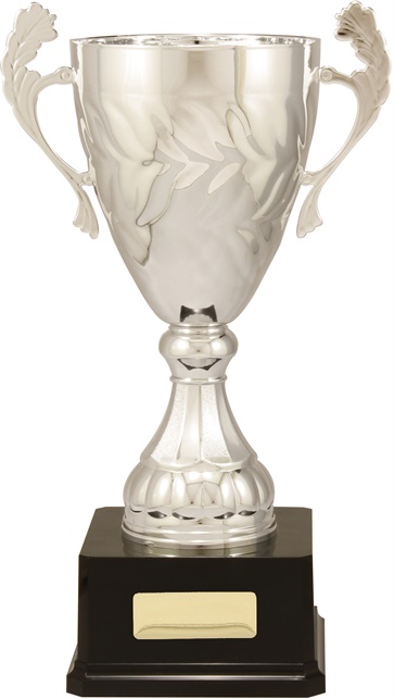 c9151_discount-cups-trophies.jpg