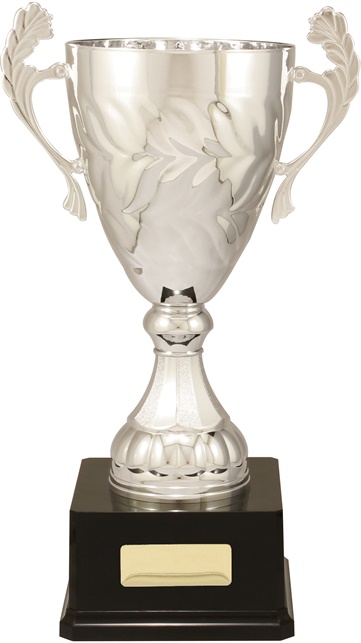 c9151_discount-cups-trophies.jpg
