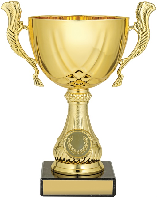 c9160_discount-cups-trophies.jpg