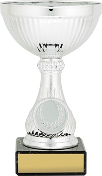 c9167_discount-cups-trophies.jpg