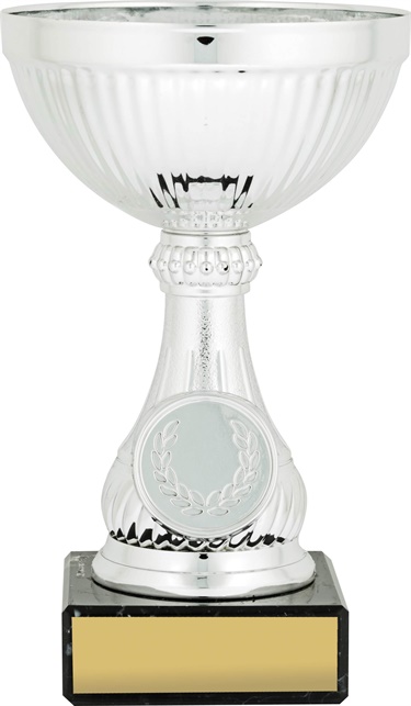 c9167_discount-cups-trophies.jpg