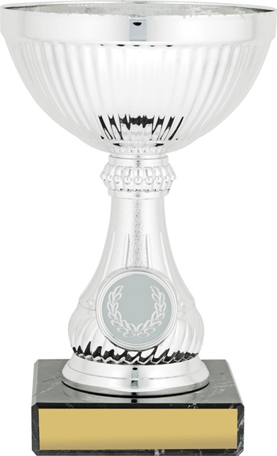 c9167_discount-cups-trophies.jpg