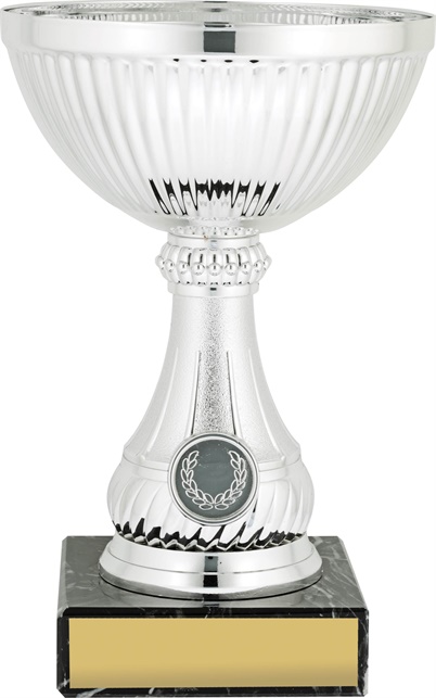 c9167_discount-cups-trophies.jpg