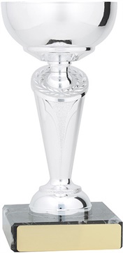 c9179_discount-cups-trophies.jpg
