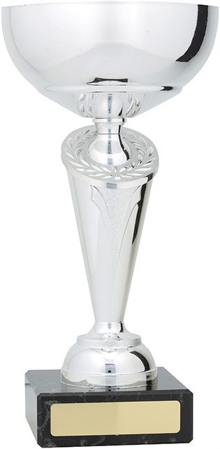 c9179_discount-cups-trophies.jpg