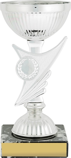 c9188_discount-cups-trophies.jpg