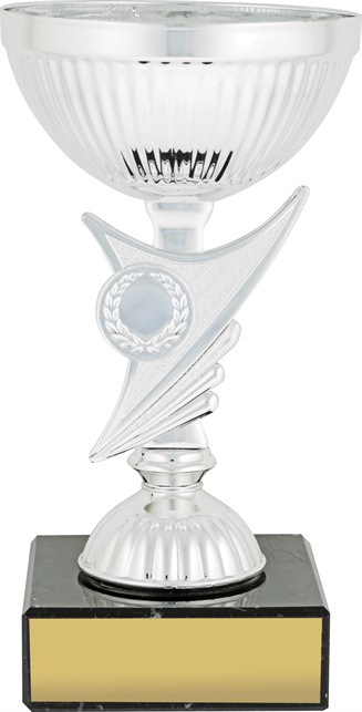 c9188_discount-cups-trophies.jpg