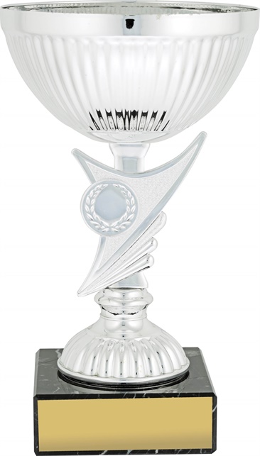 c9188_discount-cups-trophies.jpg