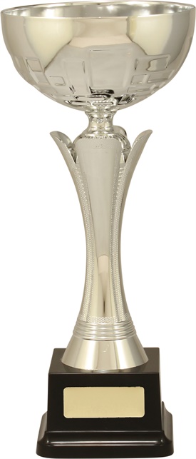 c9194_discount-cups-trophies.jpg