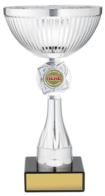 c9198_discount-cups-trophies.jpg