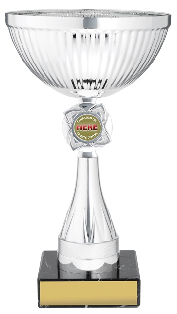 c9198_discount-cups-trophies.jpg