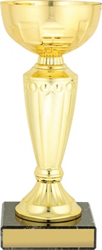 c9206_discount-cups-trophies.jpg