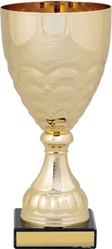c9210_discount-cups-trophies.jpg