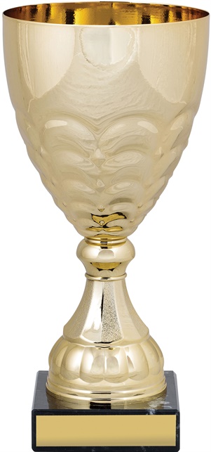 c9210_discount-cups-trophies.jpg