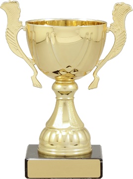 c9214_discount-cups-trophies.jpg
