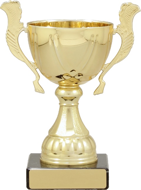 c9214_discount-cups-trophies.jpg