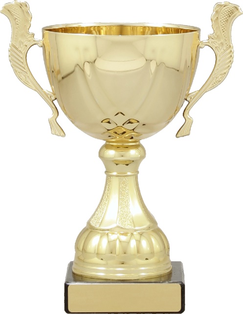 c9214_discount-cups-trophies.jpg
