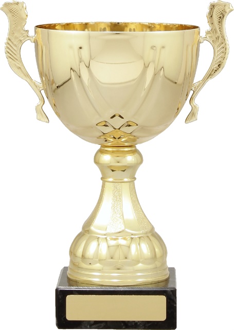 c9214_discount-cups-trophies.jpg