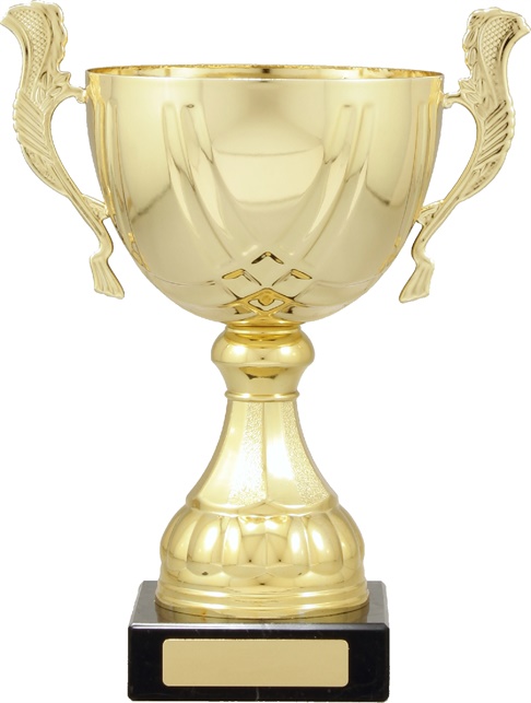 c9214_discount-cups-trophies.jpg