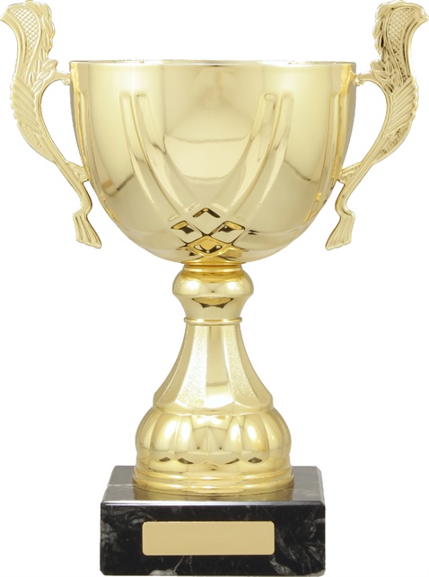 c9214_discount-cups-trophies.jpg