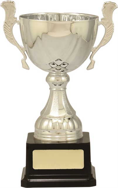 c9219_discount-cups-trophies.jpg