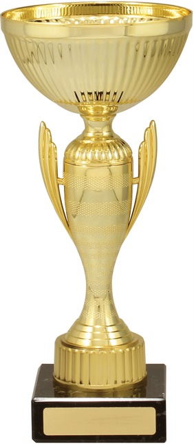 c9224_discount-cups-trophies.jpg