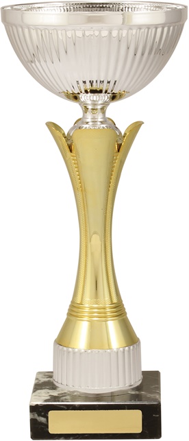 c9230_discount-cups-trophies.jpg