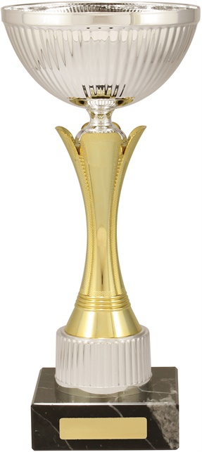 c9230_discount-cups-trophies.jpg