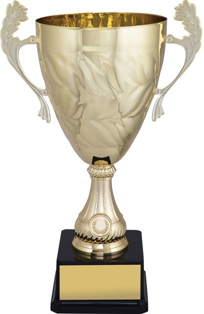 c9240_discount-cups-trophies.jpg