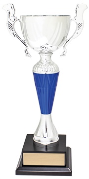 c9261_discount-cups-trophies.jpg