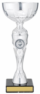 c9276_discount-cups-trophies.jpg