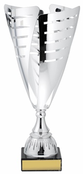 c9290_discount-cups-trophies.jpg