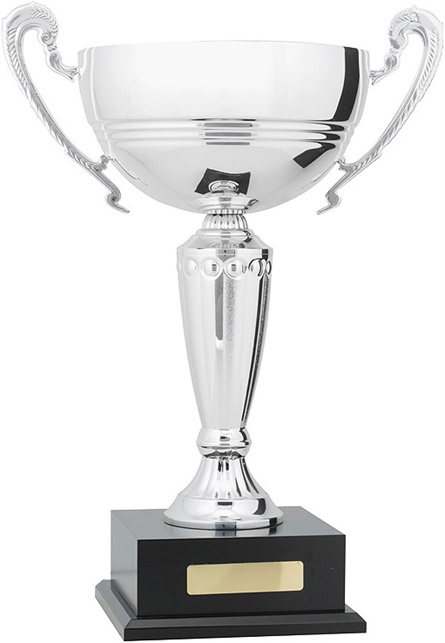 c9293_discount-cups-trophies.jpg