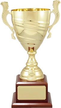 c9301_discount-cups-trophies.jpg