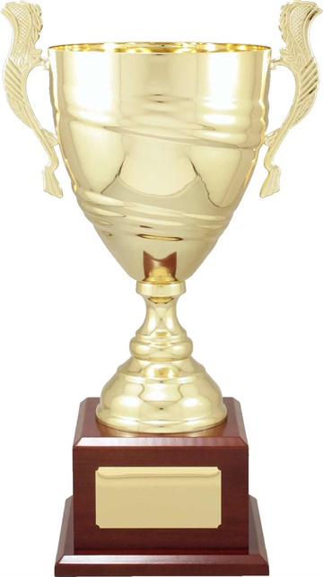 c9301_discount-cups-trophies.jpg