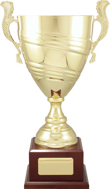 c9301_discount-cups-trophies.jpg