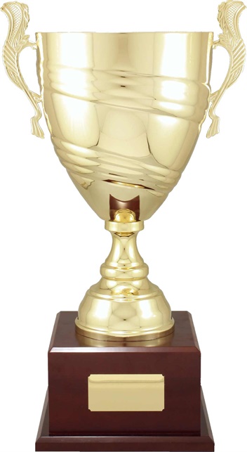 c9301_discount-cups-trophies.jpg