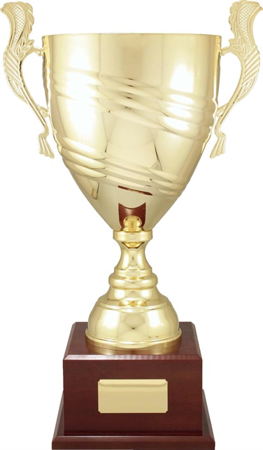 c9301_discount-cups-trophies.jpg