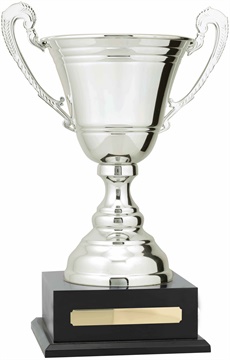c9306_discount-cups-trophies.jpg