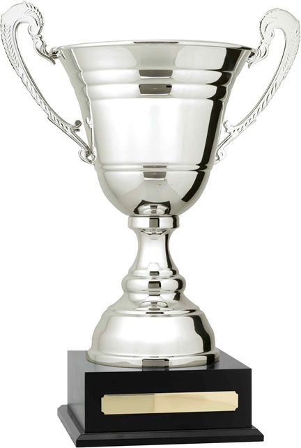 c9306_discount-cups-trophies.jpg