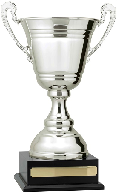 c9306_discount-cups-trophies.jpg